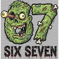 sixty seven-SS 298
